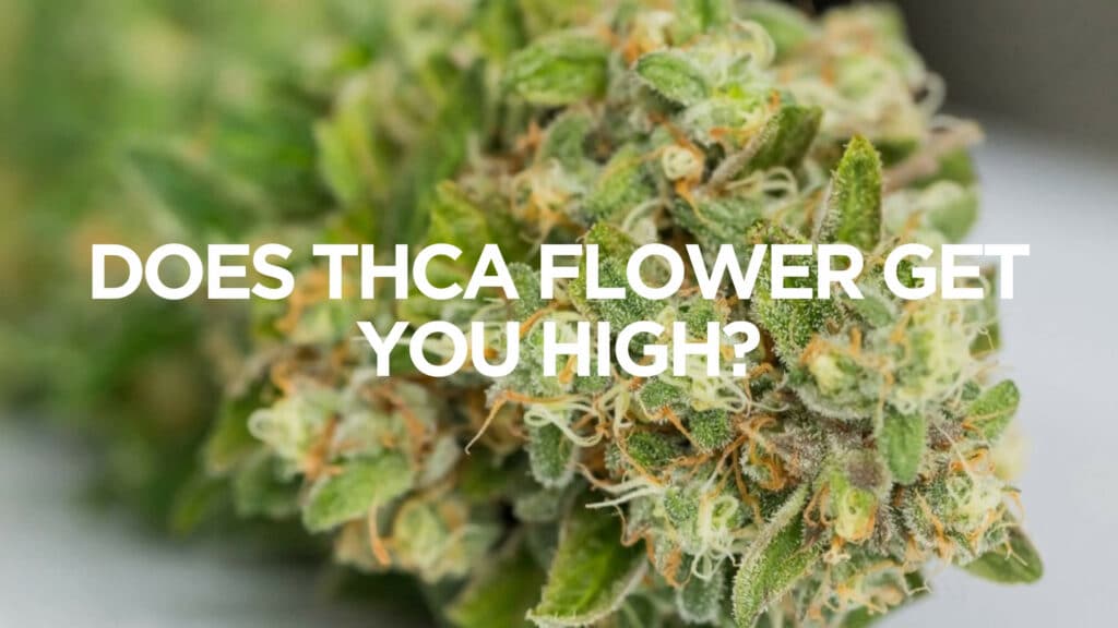Premium THCA flower at vape shops near me – explore the latest in cannabis.