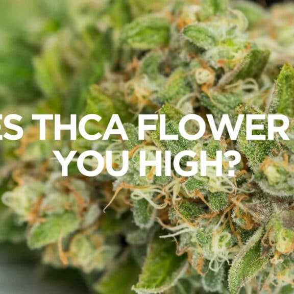 Unveiling THCA Flower: The Hottest Trend in Cannabis Now Explained