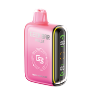 GEEK BAR PULSE BEST DISPOSABLE VAPE