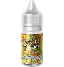 Load image into Gallery viewer, TWELVE MONKEYS E-JUICE - MANGABEYS